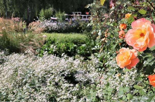 Beelitz – in voller Blüte