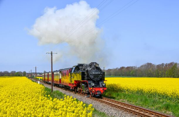 Mit der Dampfeisenbahn „Molli“ durch die traumhafte Ostseelandschaft