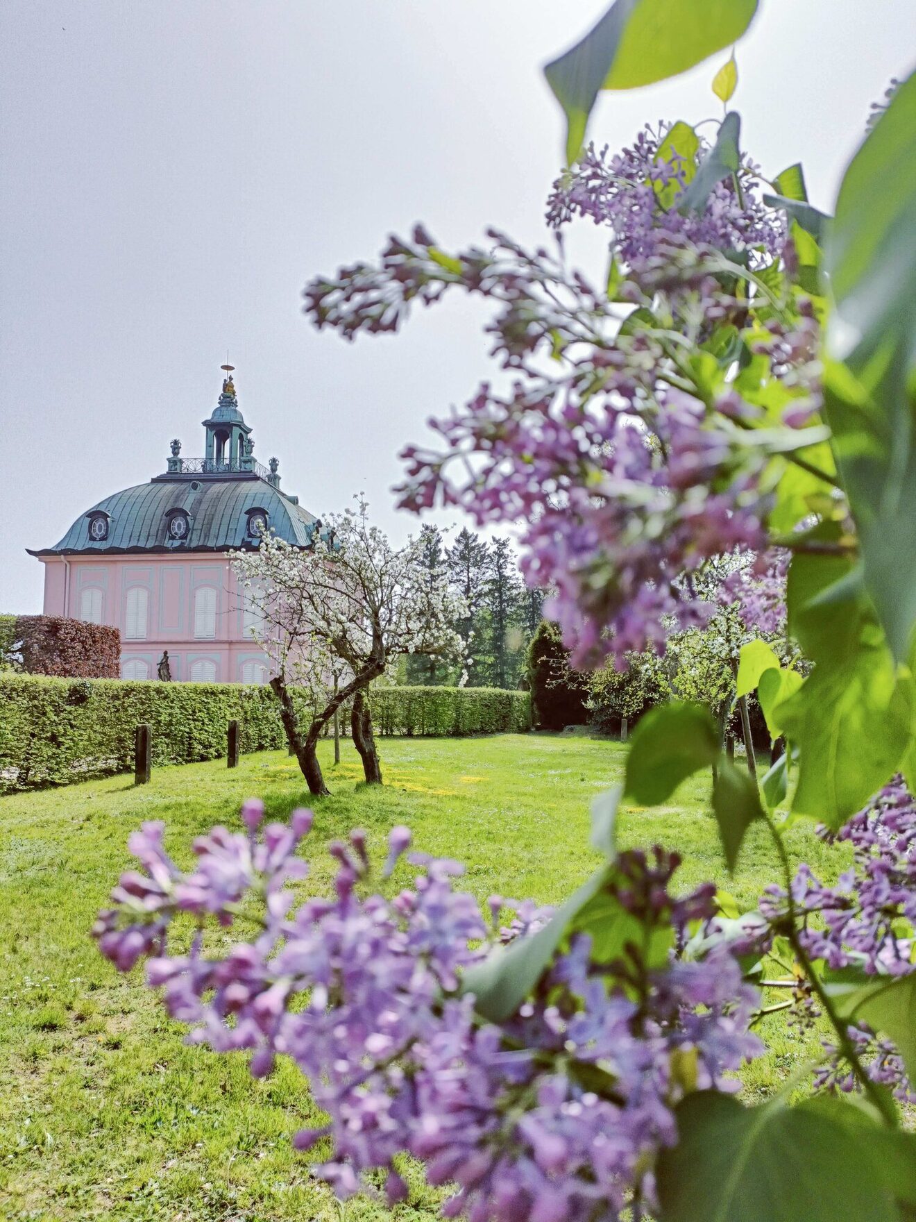 Moritzburg & Fasanenschlösschen